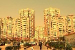 岳阳凯麦金华集团